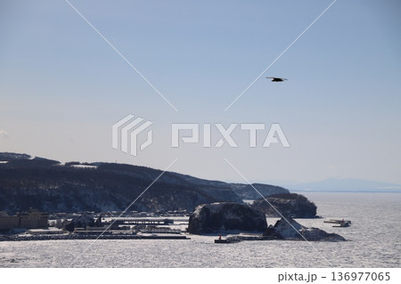 流氷の海 136977065