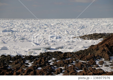 流氷の海 流氷の海 136977076