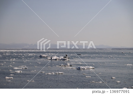 流氷の海 流氷の海 136977091
