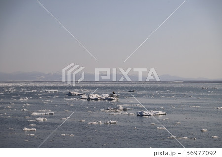 流氷の海 流氷の海 136977092