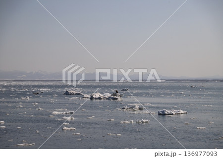 流氷の海 流氷の海 136977093