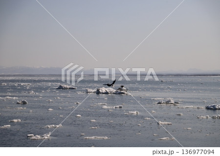 流氷の海 136977094