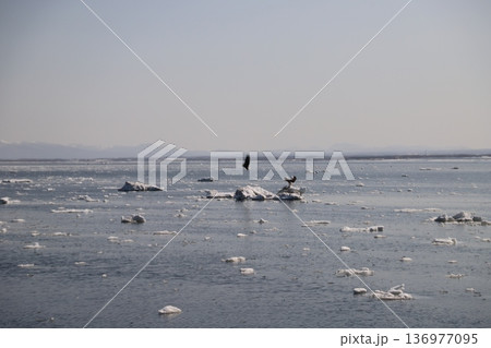 流氷の海 136977095