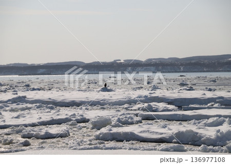 流氷の海 流氷の海 136977108