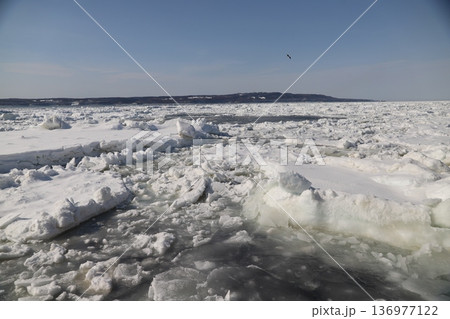 流氷の海 流氷の海 136977122
