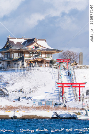 「青森県」雪景色のうみねこ繁殖地・蕪島 八戸市 「青森県」雪景色のうみねこ繁殖地・蕪島 八戸市 136977144