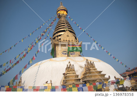 スワヤンブナートの黄金の仏塔に登る野生の猿たち（モンキーテンプル） 136978358