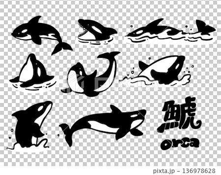 Killer whale line drawing simple illustration set 136978628