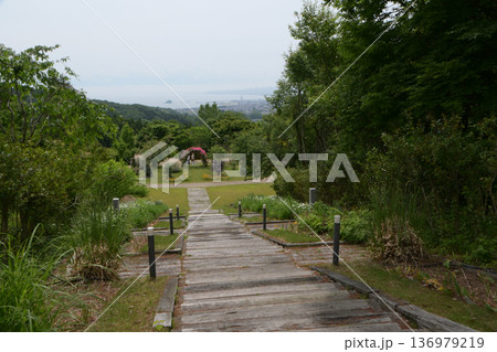 氷見あいやまガーデン(富山県氷見市) 136979219