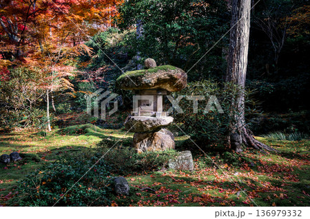 Nov 23 2025 Autumn Maple Garden at Sanzen in Temple Kyoto Nov 23 2025 Autumn Maple Garden at Sanzen in Temple Kyoto 136979332
