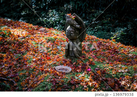 Nov 23 2025 Stone Statue Amid Autumn Maple at Sanzen in Temple 136979338