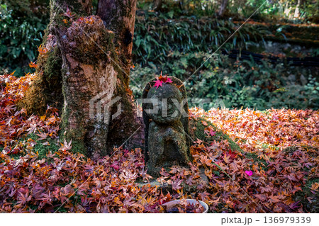 Nov 23 2025 Stone Statue Amid Autumn Maple at Sanzen in Temple Nov 23 2025 Stone Statue Amid Autumn Maple at Sanzen in Temple 136979339