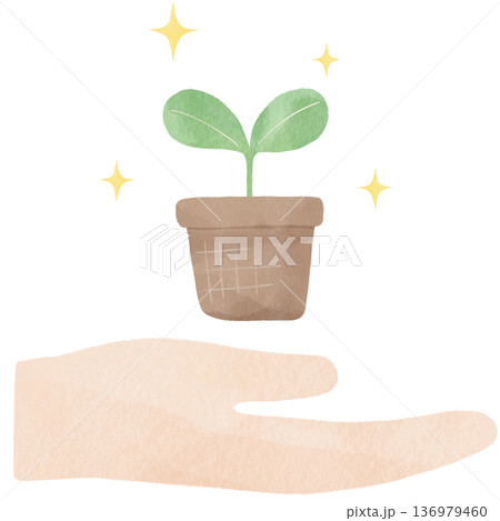 手のひらに浮かぶ双葉の水彩風イラスト｜環境保護・サステナブル・成長・SDGs・自然 136979460