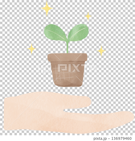 手のひらに浮かぶ双葉の水彩風イラスト｜環境保護・サステナブル・成長・SDGs・自然 136979460