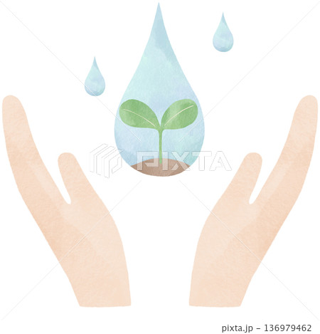 手のひらに浮かぶ双葉の水彩風イラスト｜環境保護・サステナブル・成長・SDGs・自然 136979462