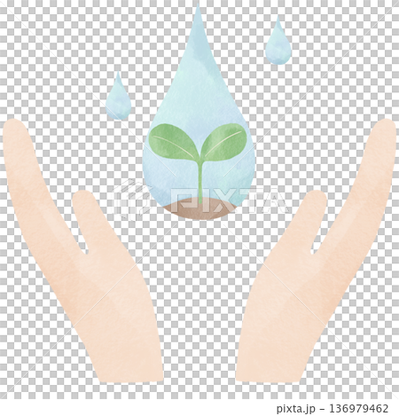 手のひらに浮かぶ双葉の水彩風イラスト｜環境保護・サステナブル・成長・SDGs・自然 136979462