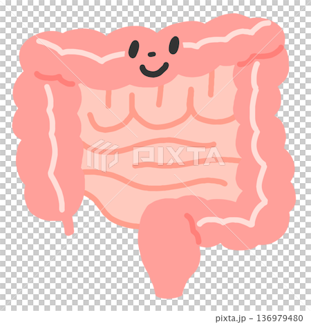 笑顔の顔がついている腸のイラスト 136979480