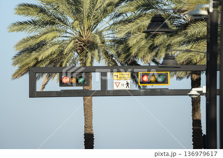 American street traffic light in Miami, Florida. USA transportation 136979617