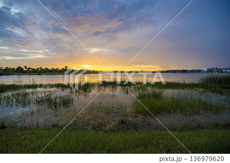 Beautiful nature landscape at sunset. Lake wildlife in Wellen park in Venice, Florida 136979620