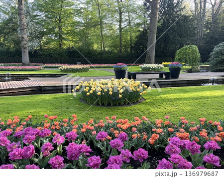オランダ・キューケンホフ公園 オランダ・キューケンホフ公園 136979687