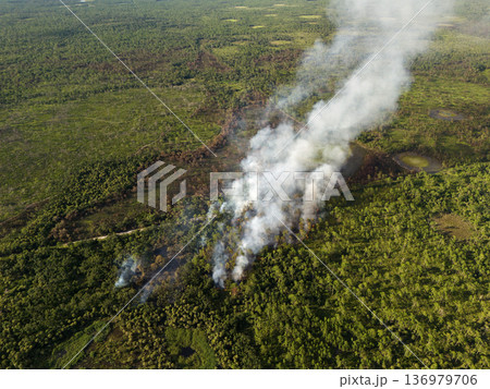 Intense wildfire spreads across Florida woodland, leaving scorched earth and towering plumes of smoke drifting above treetops Intense wildfire spreads across Florida woodland, leaving scorched earth and towering plumes of smoke drifting above treetops 136979706