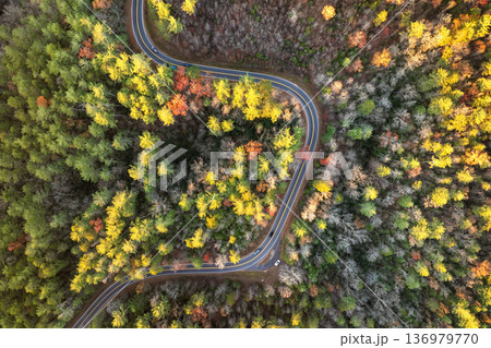 Winding forest road in Tennessee Appalachians during fall. Car traveling through mountain woods under glowing autumn leaves Winding forest road in Tennessee Appalachians during fall. Car traveling through mountain woods under glowing autumn leaves 136979770