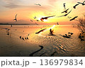 水鳥の戯れる霞ケ浦の初日の出 136979834
