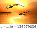 水鳥の戯れる霞ケ浦の初日の出 136979836