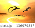 水鳥の戯れる霞ケ浦の初日の出 136979837