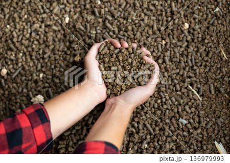 Hands of woman farmer holding pile of rapeseed oil cake Hands of woman farmer holding pile of rapeseed oil cake 136979993