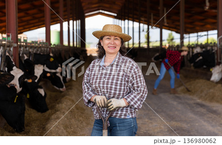 Elderly woman cow breeder standing in outdoor cowshed 136980062
