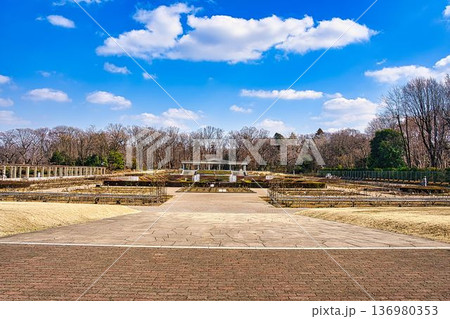 神代植物公園 136980353