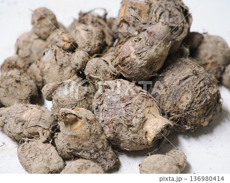 表面の土が乾燥したサトイモ 136980414