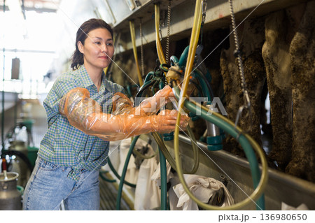 Milkmaid with automatical cow milking machines Milkmaid with automatical cow milking machines 136980650