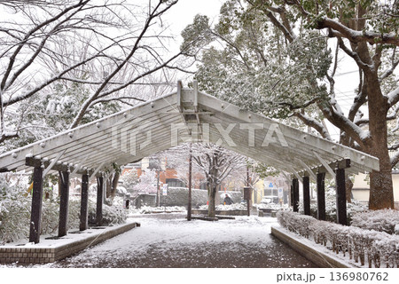 雪が積もる公園 雪が積もる公園 136980762