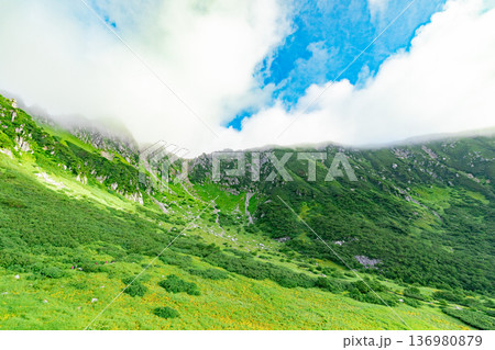 宝剣岳 千畳敷カールの絶景 宝剣岳 千畳敷カールの絶景 136980879