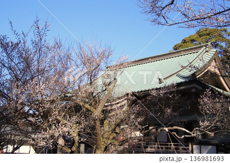 福岡県宗像市の鎮国寺護摩堂 福岡県宗像市の鎮国寺護摩堂 136981693