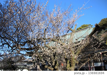 福岡県宗像市の鎮国寺護摩堂 福岡県宗像市の鎮国寺護摩堂 136981694