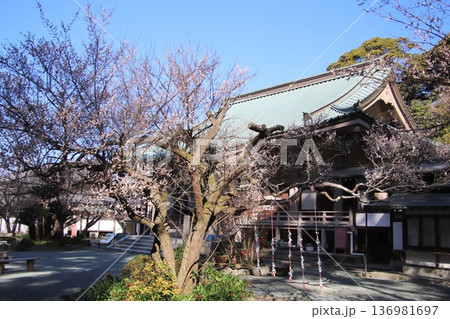 福岡県宗像市の鎮国寺護摩堂 136981697