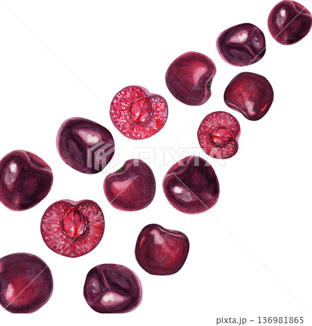 Watercolor sweet cherries arranged in a diagonal composition on white background. Hand painted ripe red fruits with copy space, ideal for greeting cards, invitations, seasonal design, summer Watercolor sweet cherries arranged in a diagonal composition on white background. Hand painted ripe red fruits with copy space, ideal for greeting cards, invitations, seasonal design, summer 136981865