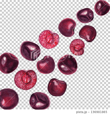 Watercolor sweet cherries arranged in a diagonal composition on white background. Hand painted ripe red fruits with copy space, ideal for greeting cards, invitations, seasonal design, summer Watercolor sweet cherries arranged in a diagonal composition on white background. Hand painted ripe red fruits with copy space, ideal for greeting cards, invitations, seasonal design, summer 136981865