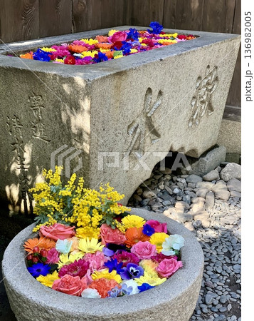 2月のカラフルな花手水(薔薇・ガーベラ・ミモザ・パンジー・デルフィニウム)〈菅生神社/愛知県岡崎市〉 2月のカラフルな花手水(薔薇・ガーベラ・ミモザ・パンジー・デルフィニウム)〈菅生神社/愛知県岡崎市〉 136982005