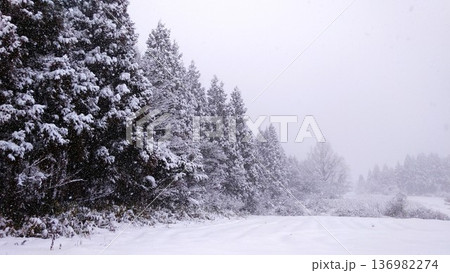 雪降る森の静かな冬風景 136982274