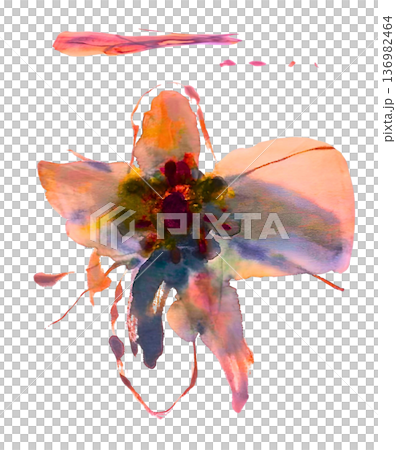 [Transparent background] Colorful pink and blue flowers painted in watercolor. 136982464