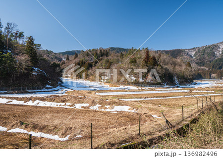 奥琵琶湖の残雪の棚田 滋賀県長浜市永原 奥琵琶湖の残雪の棚田 滋賀県長浜市永原 136982496