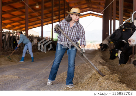 Portrait of active female employee working in cowshed Portrait of active female employee working in cowshed 136982708