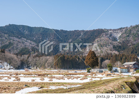 奥琵琶湖の残雪の農村風景　滋賀県長浜市永原 136982899