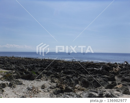 隆起海岸 隆起海岸 136982977