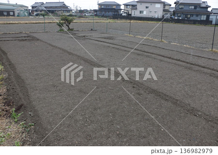 恵みの雨 滋雨 恵みの雨 滋雨 136982979