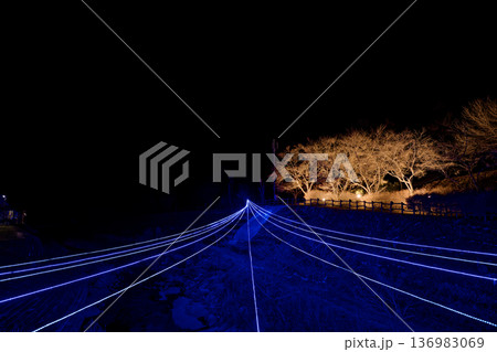 LEDイルミネーション 136983069